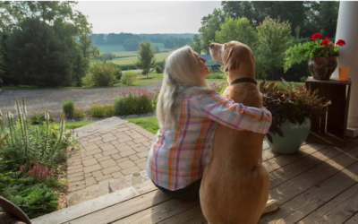 Estate Planning for Pets: How to Protect Your Furry Friends