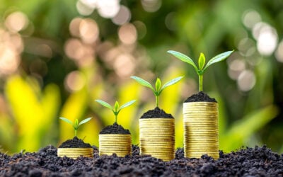 How to Build a Financial Plan That Supports Both Security and Flexibility